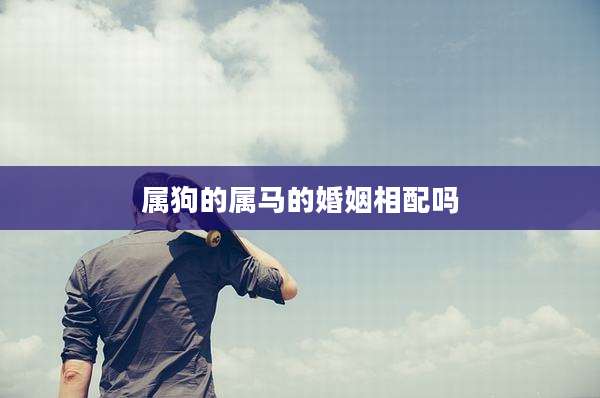 属狗的属马的婚姻相配吗