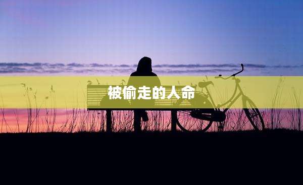被偷走的人命