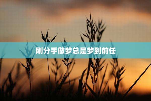 刚分手做梦总是梦到前任