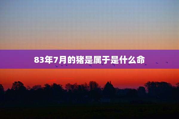 83年7月的猪是属于是什么命