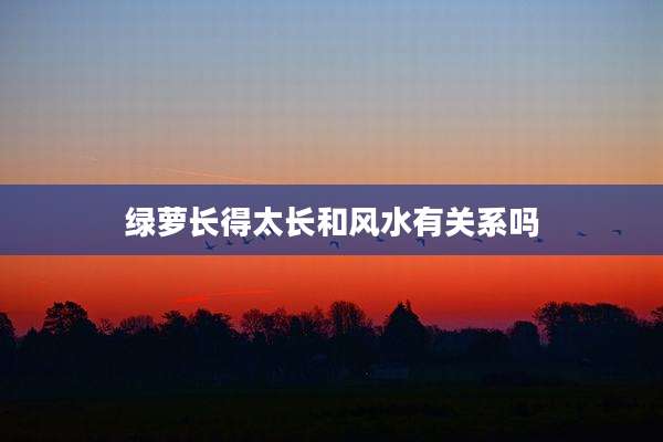 绿萝长得太长和风水有关系吗
