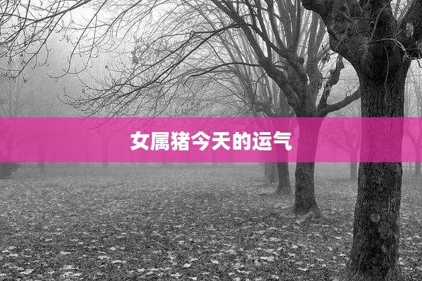 女属猪今天的运气