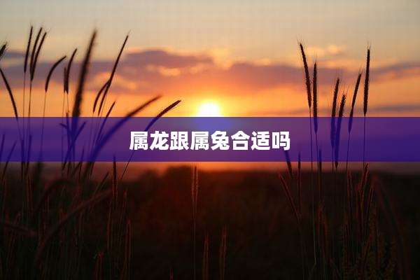 属龙跟属兔合适吗