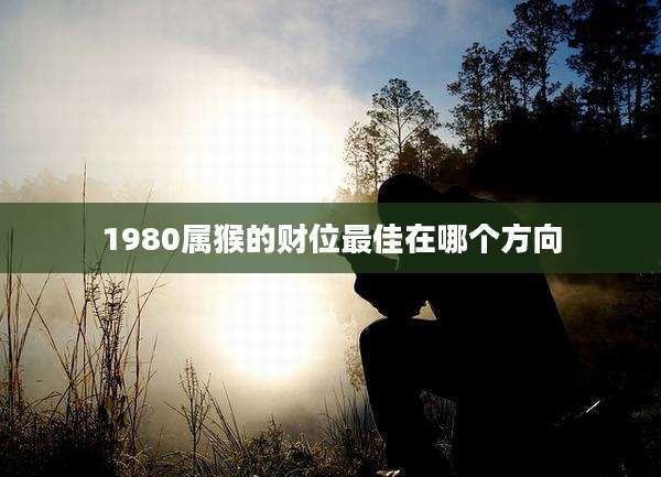1980属猴的财位最佳在哪个方向