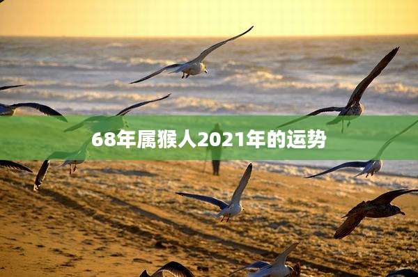 68年属猴人2021年的运势