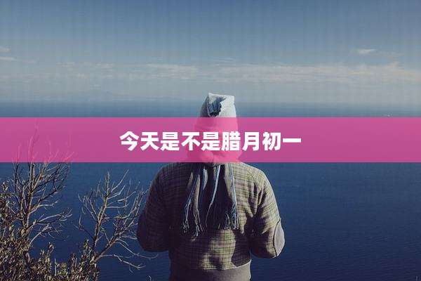 今天是不是腊月初一