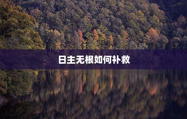 日主无根如何补救