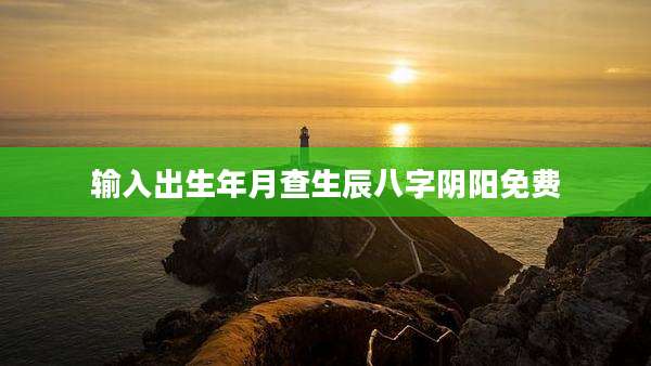输入出生年月查生辰八字阴阳免费