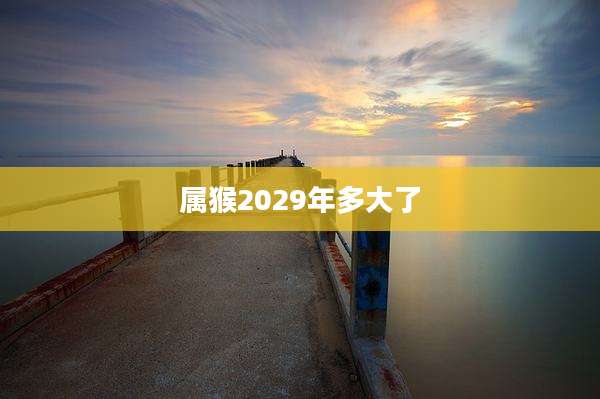 属猴2029年多大了