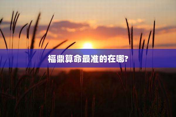 福鼎算命最准的在哪?