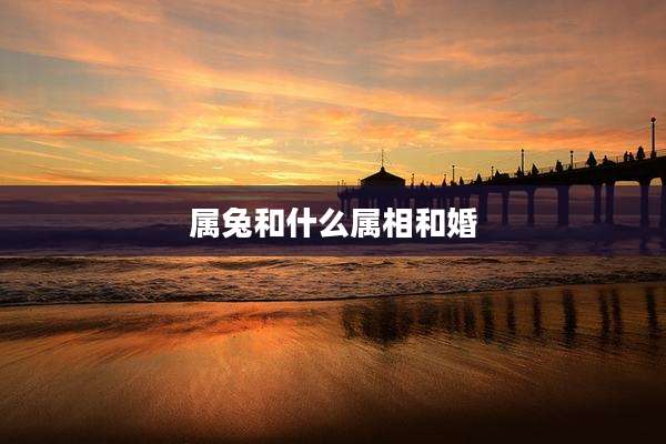 属兔和什么属相和婚