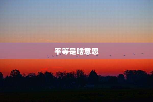 平等是啥意思