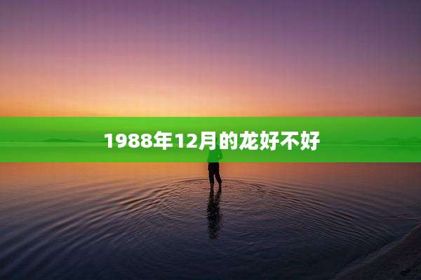 1988年12月的龙好不好