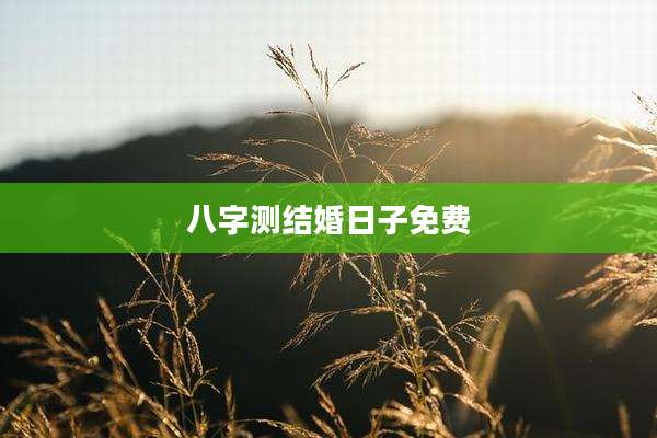 八字测结婚日子免费