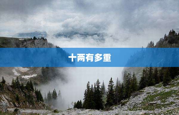 十两有多重