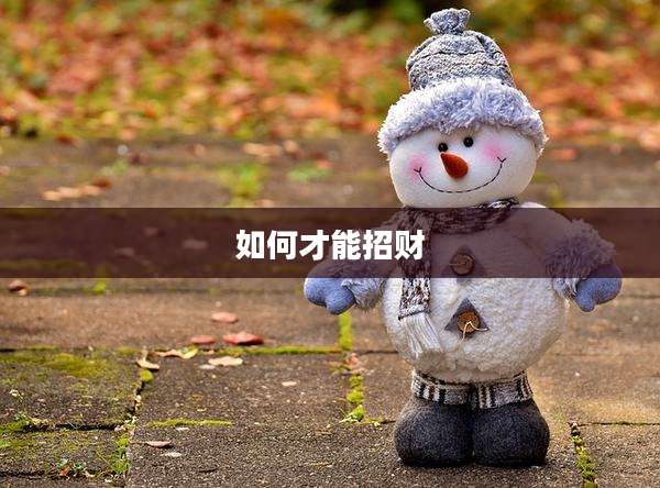 如何才能招财