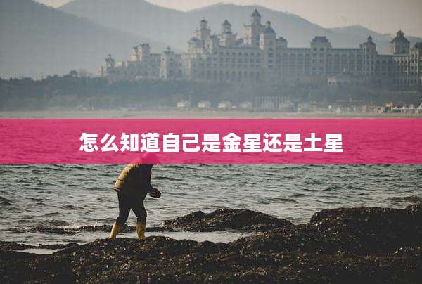 怎么知道自己是金星还是土星
