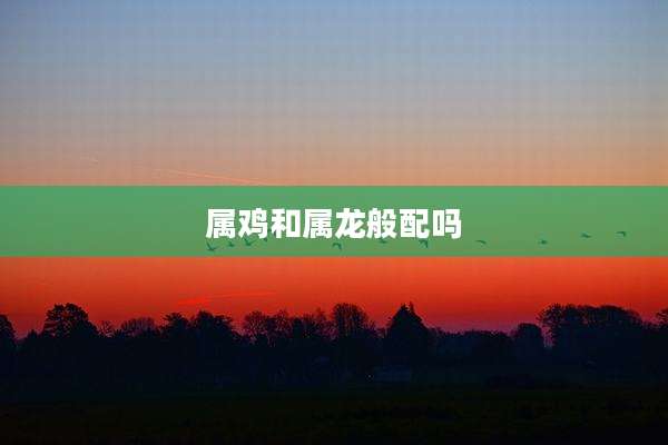 属鸡和属龙般配吗