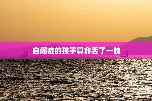 自闭症的孩子算命丢了一魄