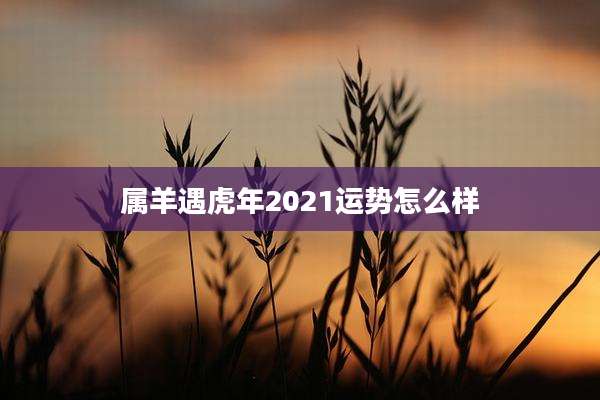 属羊遇虎年2021运势怎么样
