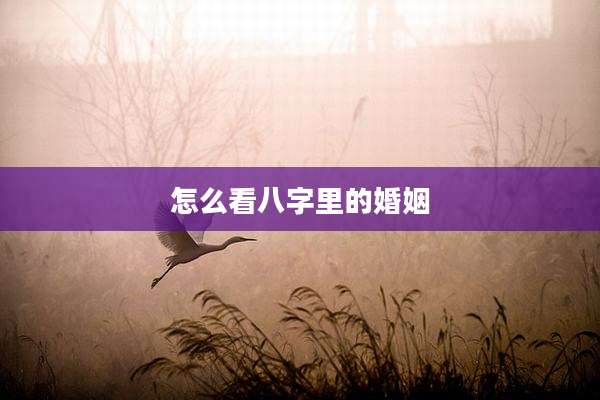 怎么看八字里的婚姻