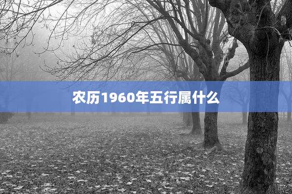 农历1960年五行属什么