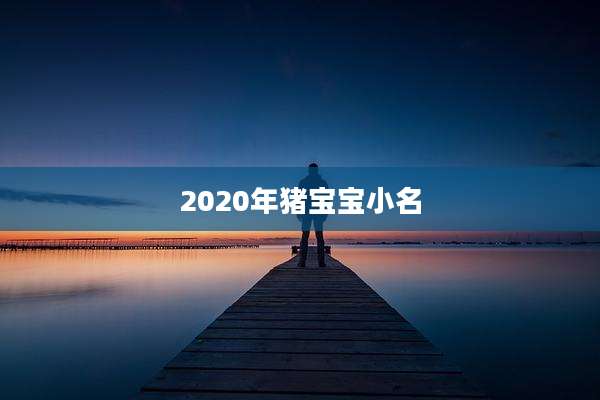 2020年猪宝宝小名