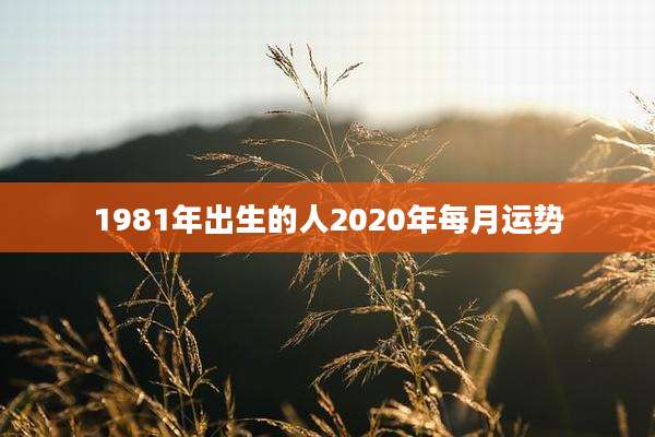 1981年出生的人2020年每月运势