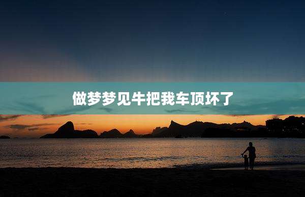 做梦梦见牛把我车顶坏了