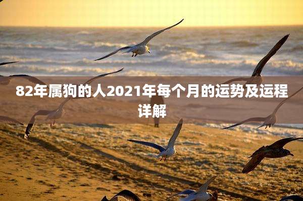 82年属狗的人2021年每个月的运势及运程详解