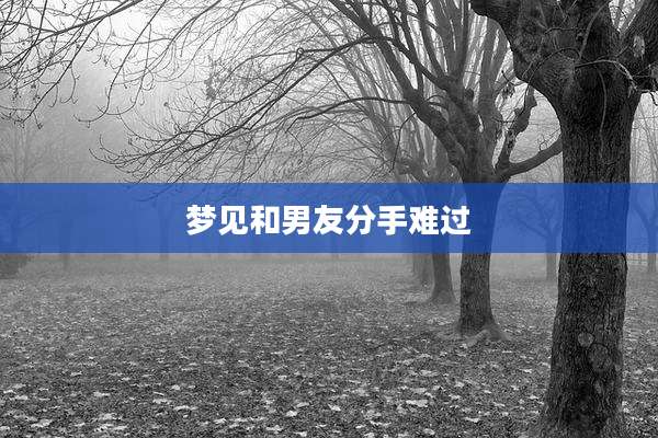 梦见和男友分手难过
