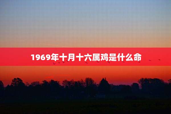 1969年十月十六属鸡是什么命