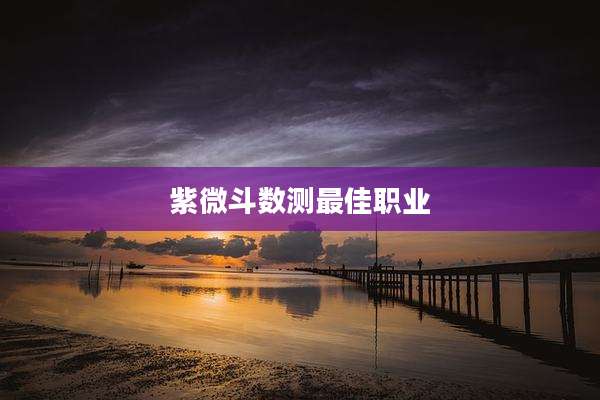 紫微斗数测最佳职业