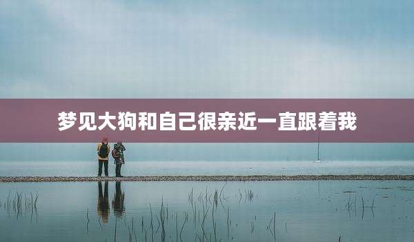 梦见大狗和自己很亲近一直跟着我