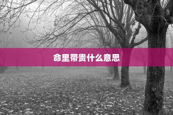 命里带贵什么意思