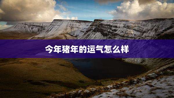 今年猪年的运气怎么样