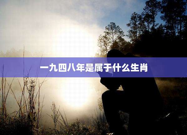 一九四八年是属于什么生肖