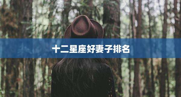 十二星座好妻子排名