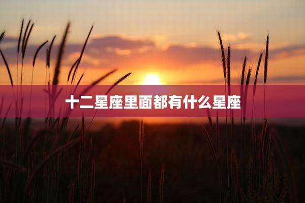 十二星座里面都有什么星座