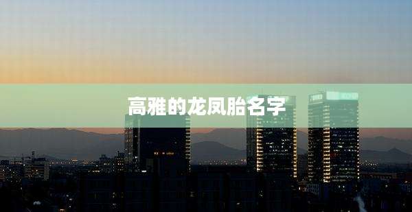 高雅的龙凤胎名字