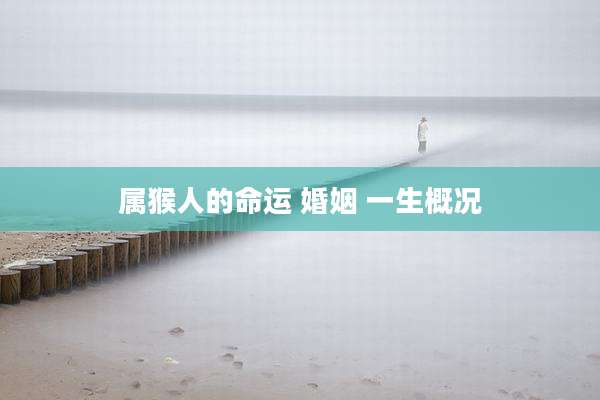 属猴人的命运 婚姻 一生概况