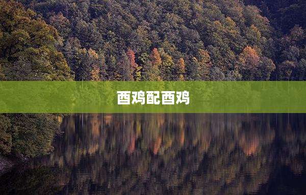 酉鸡配酉鸡