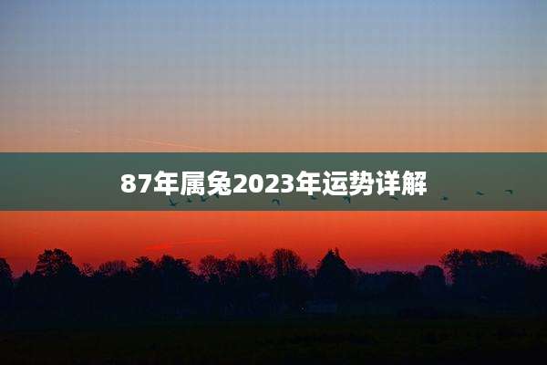 87年属兔2023年运势详解