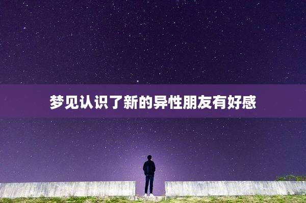 梦见认识了新的异性朋友有好感