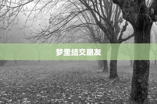 梦里结交朋友