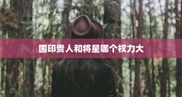 国印贵人和将星哪个权力大