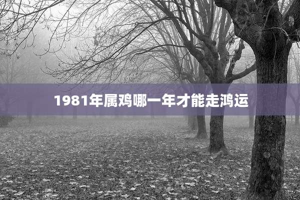 1981年属鸡哪一年才能走鸿运