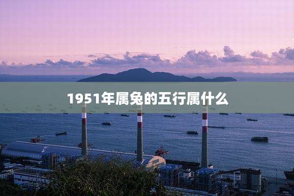1951年属兔的五行属什么