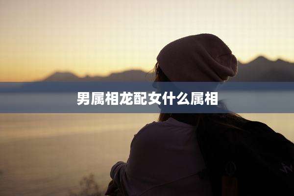男属相龙配女什么属相