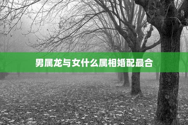 男属龙与女什么属相婚配最合